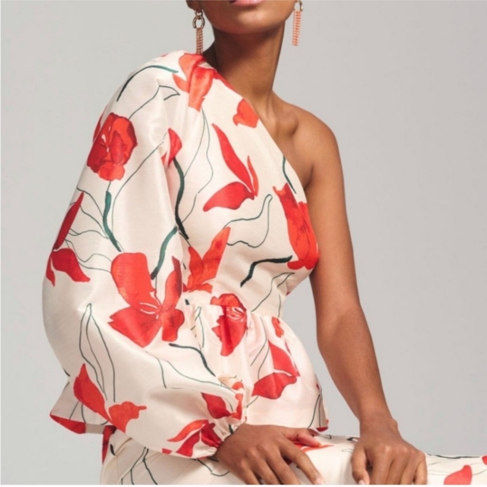 Anthropologie Hutch Floral One Sleeve Peplum Dress - Picture 2 of 7